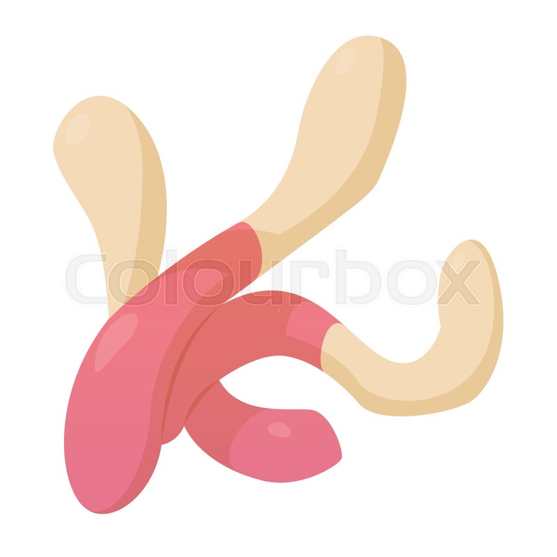 800x800 Fruit Jelly Icon Cartoon Illustration Stock Vector Colourbox