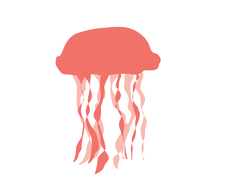 800x624 Jellyfish Icon Images