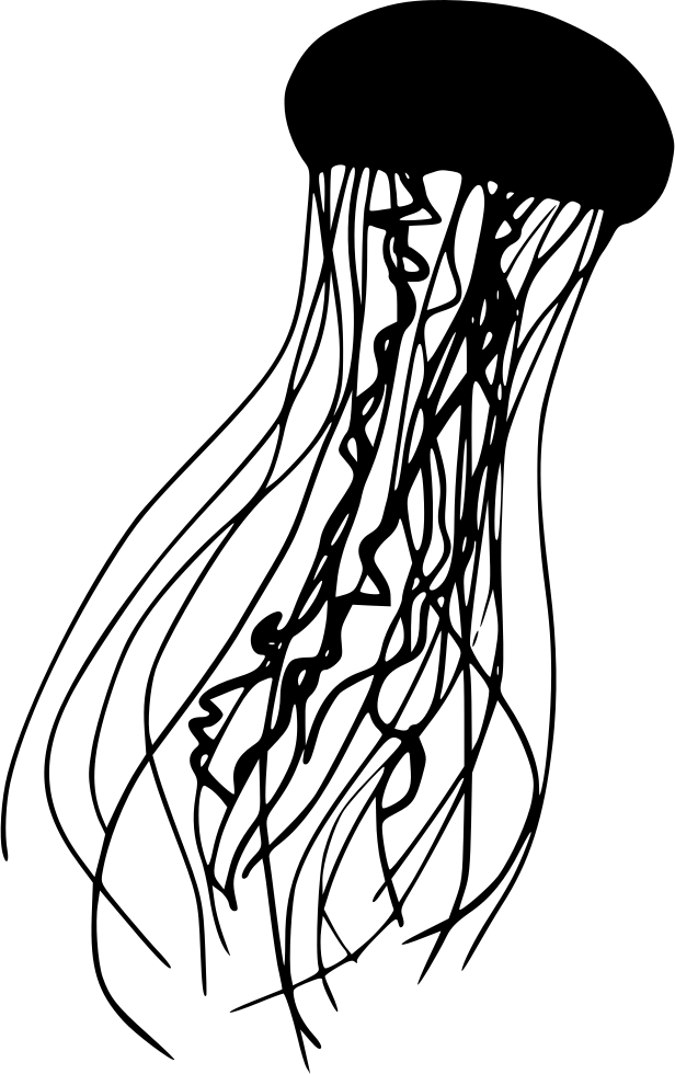 616x980 Download Free Png Jellyfish Png Icon Free Download