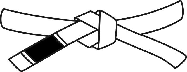 640x247 Filebjj White Belt