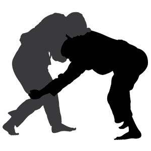 300x300 Brazilian Jiu Jitsu Frederick Co Motive Jiu Jitsu Academy