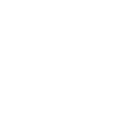 256x256 Free White Joystick Icon