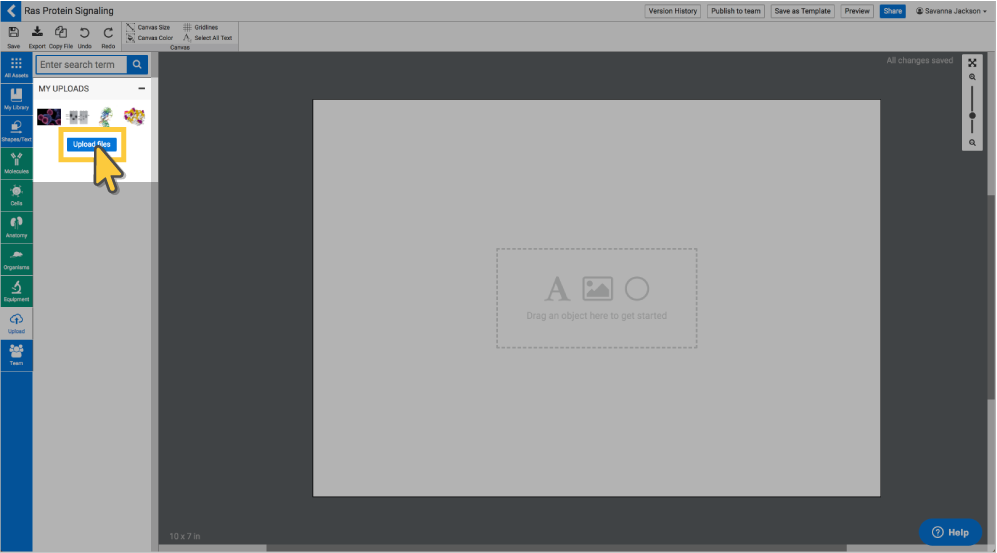 997x553 Uploading Your Own Icon Biorender Support
