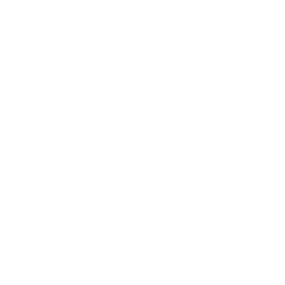 256x256 White Js Icon