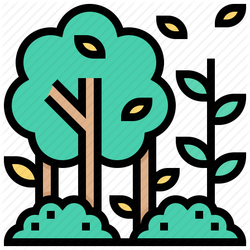 512x512 Forest, Jungle, Tree, Wild, Woods Icon