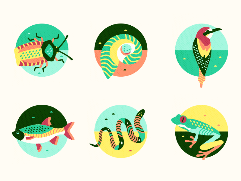 800x600 In The Jungle