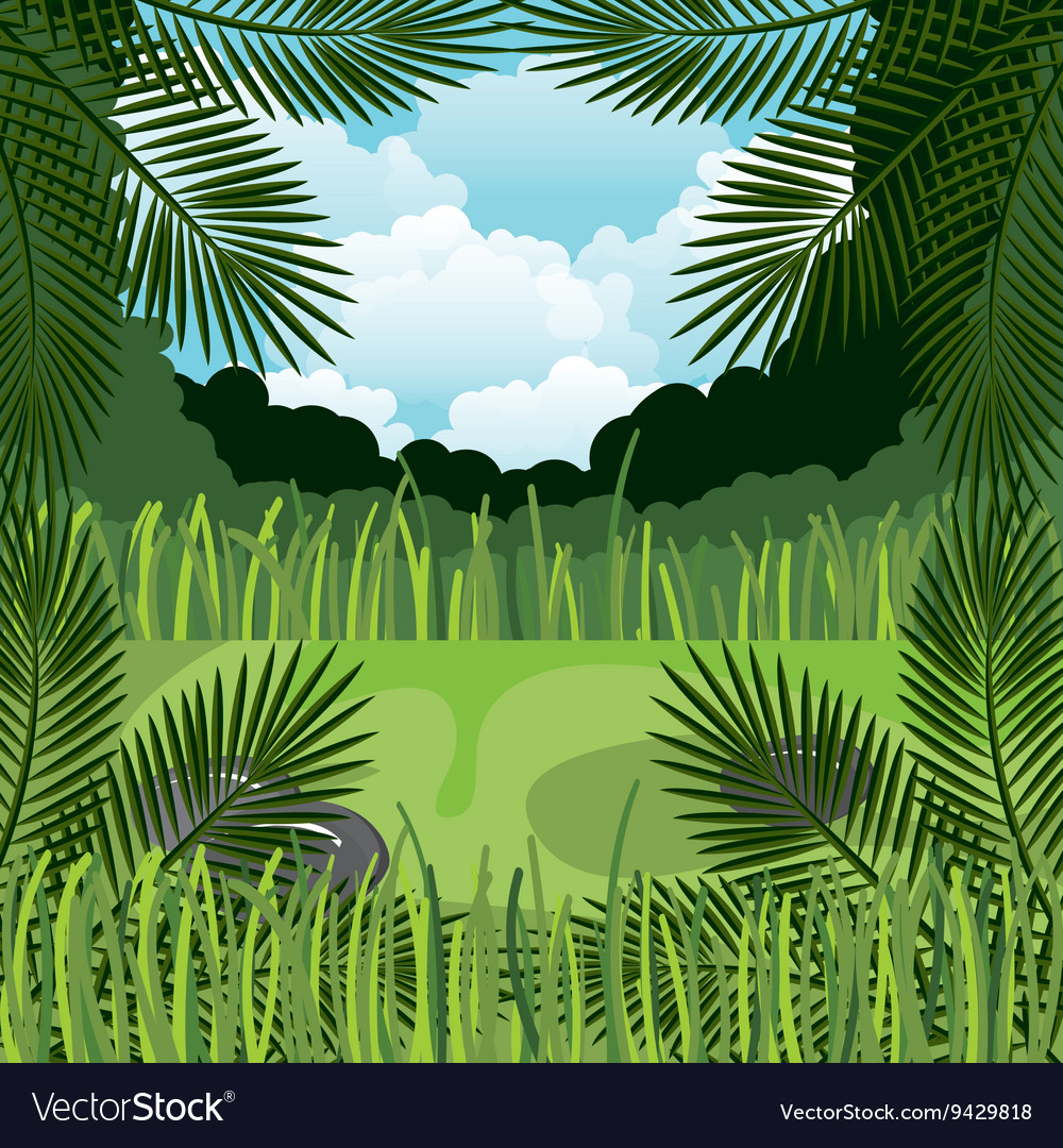 1000x1080 Jungle Icon