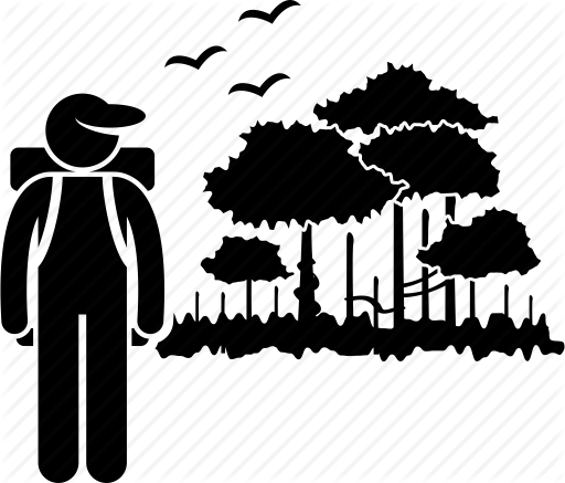 512x437 Adventure, Adventurous, Explorer, Exploring, Forest, Jungle