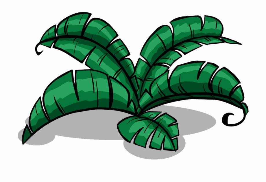 920x629 Jungle Png Pic