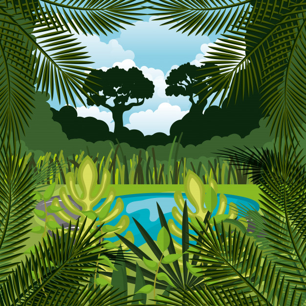 626x626 Jungle Landscape Background Isolated Icon Design Vector Premium