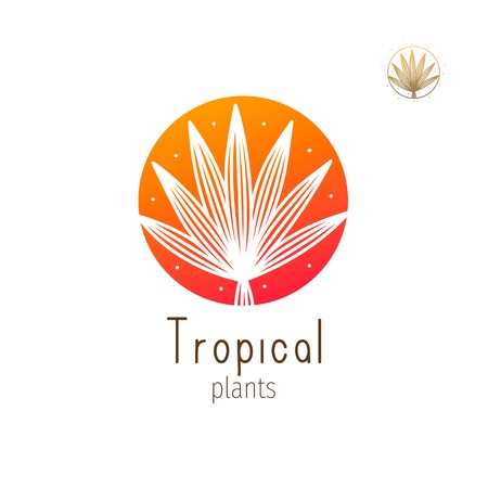 450x450 Tropical Jungle Icon Royalty Free Vector Graphics
