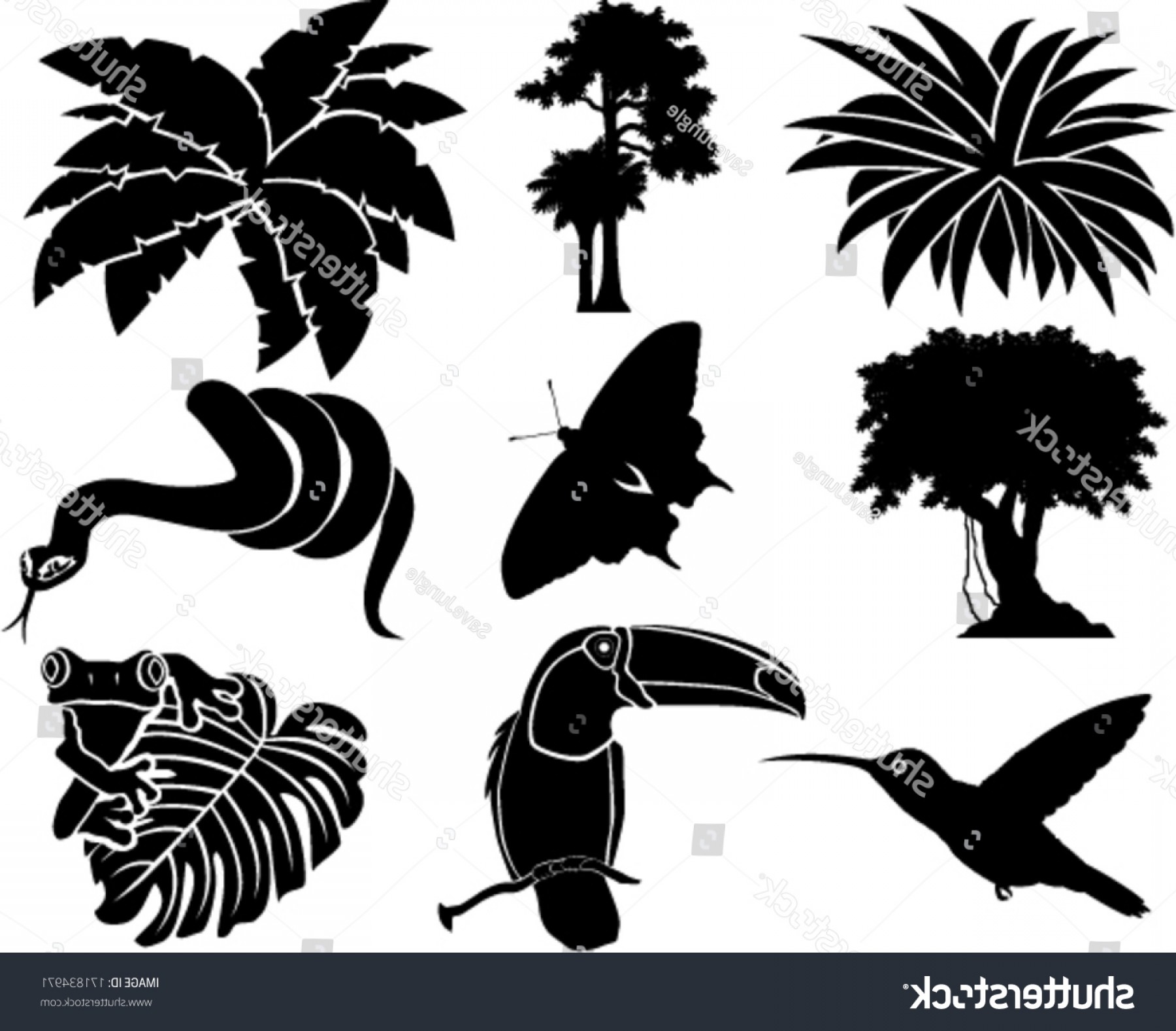 1800x1578 Vector Set Jungle Icons Tropical Trees Soidergi