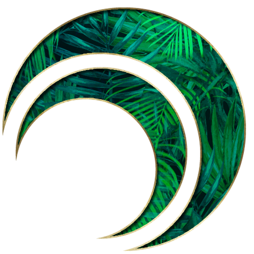 512x512 Cropped Jungle Icon Jungle Design Studios Creating First