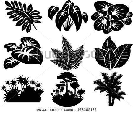 450x380 Vector Set Of Jungle Icons With Tropical Trees, Plants And Leaves