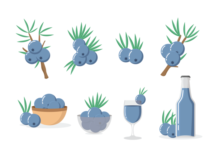 Juniper Icons Vector 700x490 Juniper Icons Vector