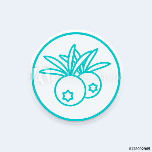 Juniper Berries Line Icon On Round Shape, Vector Illustration 500x500 Juniper Berries Line Icon On Round Shape, Vector Illustration