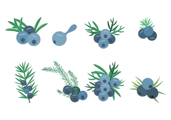Free Juniper Icons Vector Illustration 700x490 Free Juniper Icons Vector Illustration