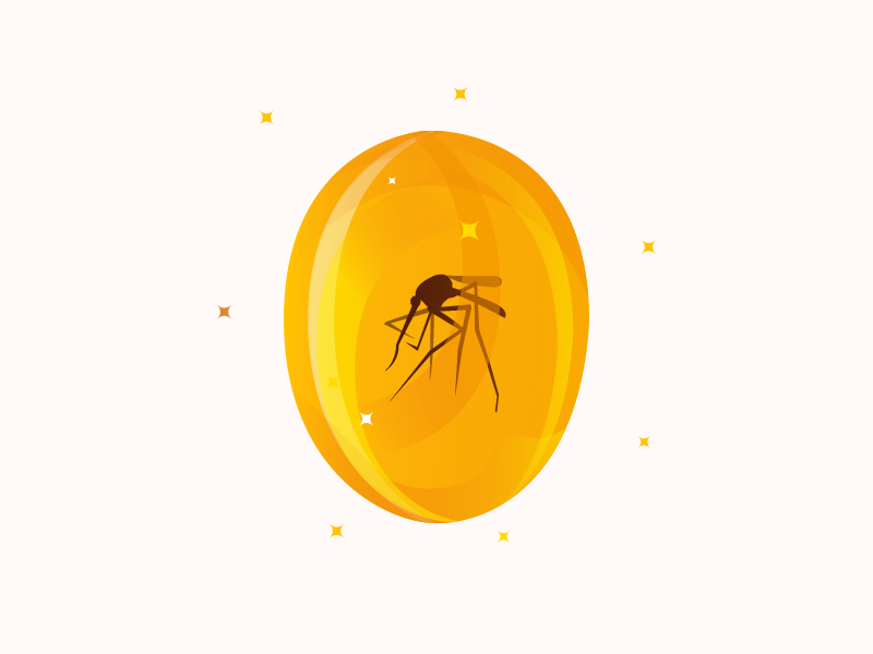 800x600 Jurassic Park Amber