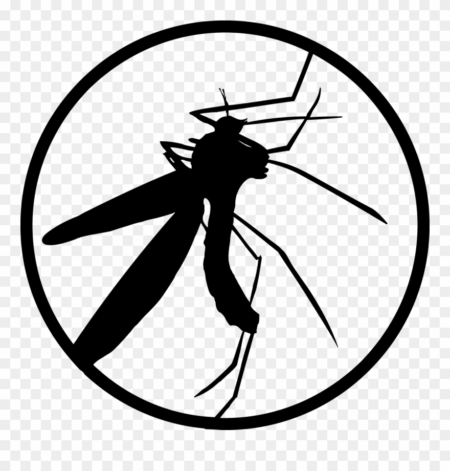 880x920 Creation Lab Icon