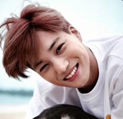 250x242 Exo Kai Icons Tumblr