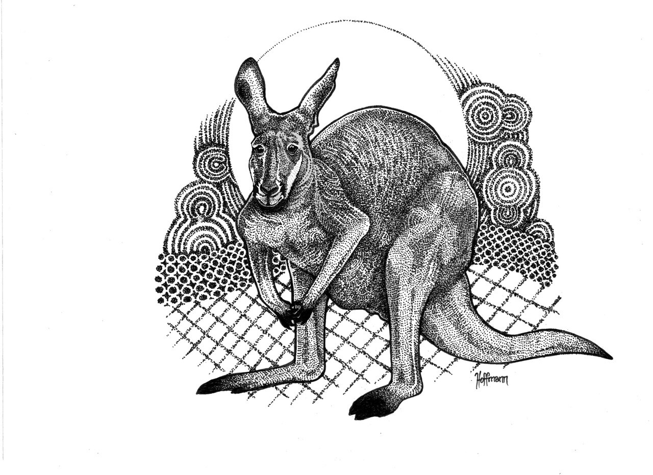 Kangaroo 'icon' 1280x931 Kangaroo 'icon'
