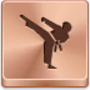 300x300 Karate Icon Free Images