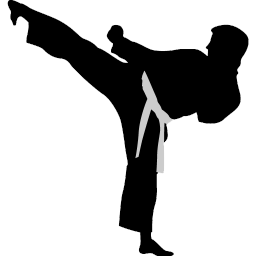 256x256 Karate Highkick Icon Karate Iconset Kampsport Find Hold