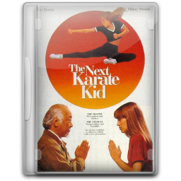 256x256 The Karate Kid The Next Karate Kid Icon
