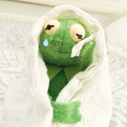 250x250 Kermit Icons Tumblr