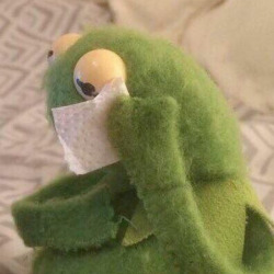 250x250 Kermit Icons Tumblr