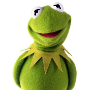 300x300 Eden Full Body Kermit The Frog Hand Puppet Memes Plush Toy Jim