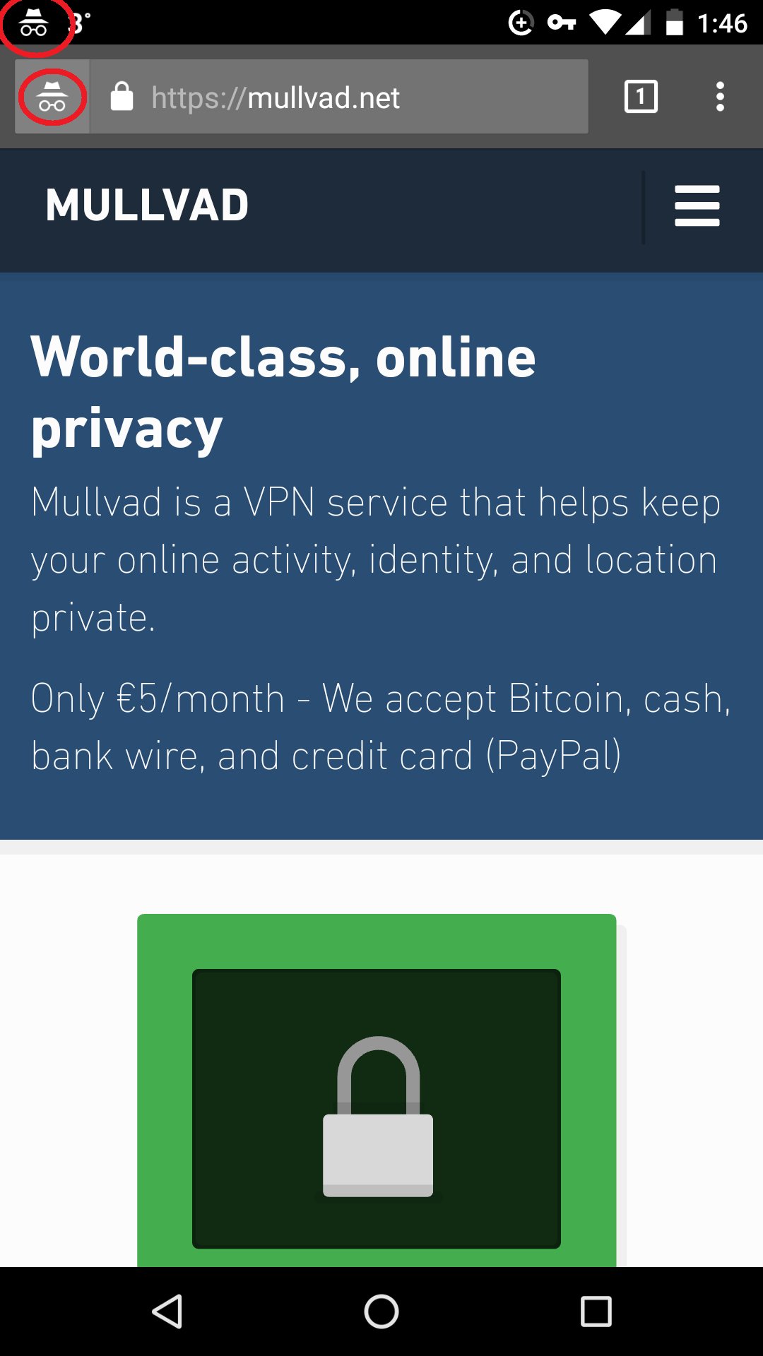 1080x1920 Mullvad On Android Chromebook Devices