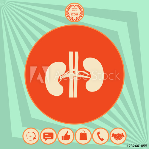 500x500 Human Organs Kidney Icon