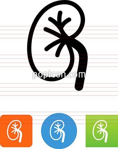 400x504 Kidney Icon