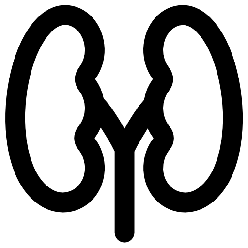 512x512 Kidney Icons Free Download