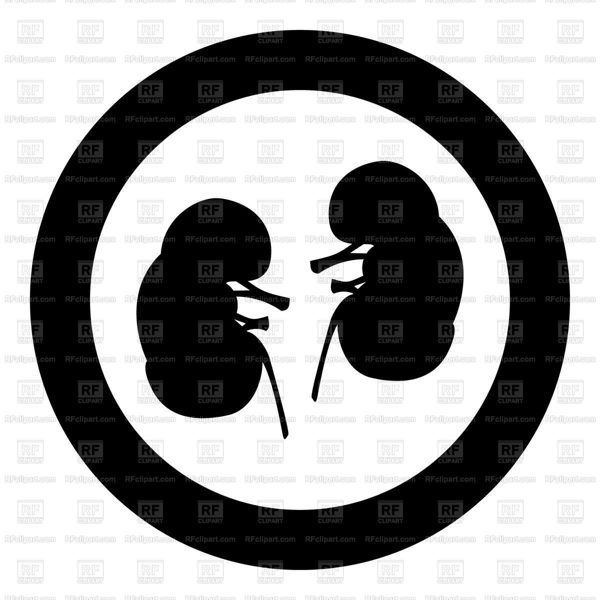 1200x1200 Kidney Icon Vector Image Of Healthcare, Medical