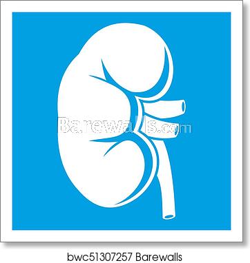362x382 Kidney Icon White, Art Print Barewalls Posters Prints