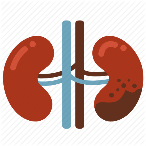 512x512 Cancer, Disease, Ill, Infection, Kidney, Kidney Failure Icon