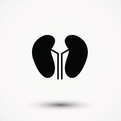 416x416 Vector Kidney Icon Premium Clipart