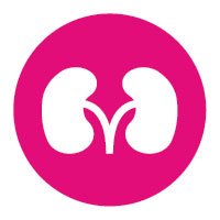 200x200 Kidney Disease Icon Positively Aware