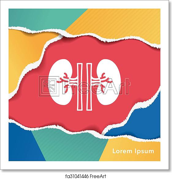 561x581 Free Art Print Of Kidney Icon Freeart