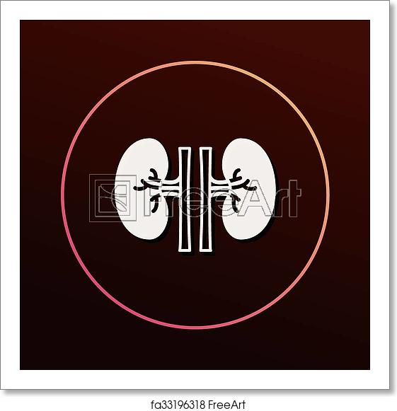 561x581 Free Art Print Of Kidney Icon Freeart