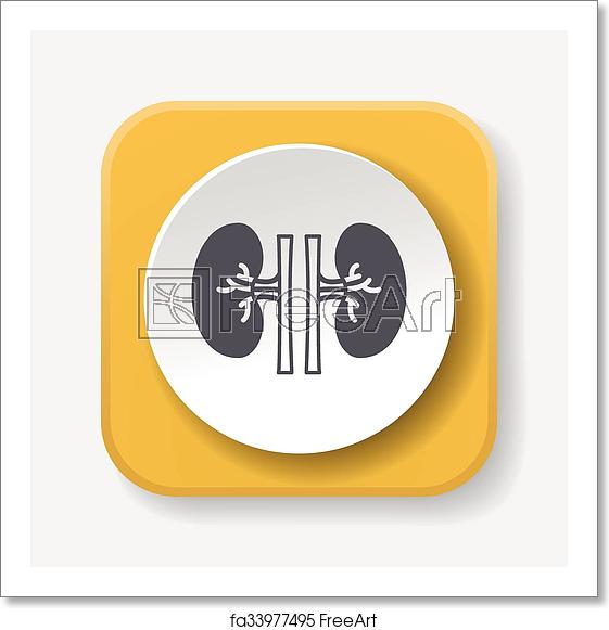 561x581 Free Art Print Of Kidney Icon Freeart