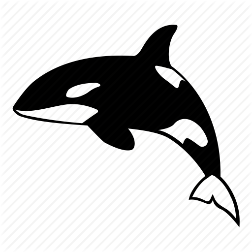 512x512 Killer, Mammal, Ocean, Orca, Predator, Sea, Whale Icon