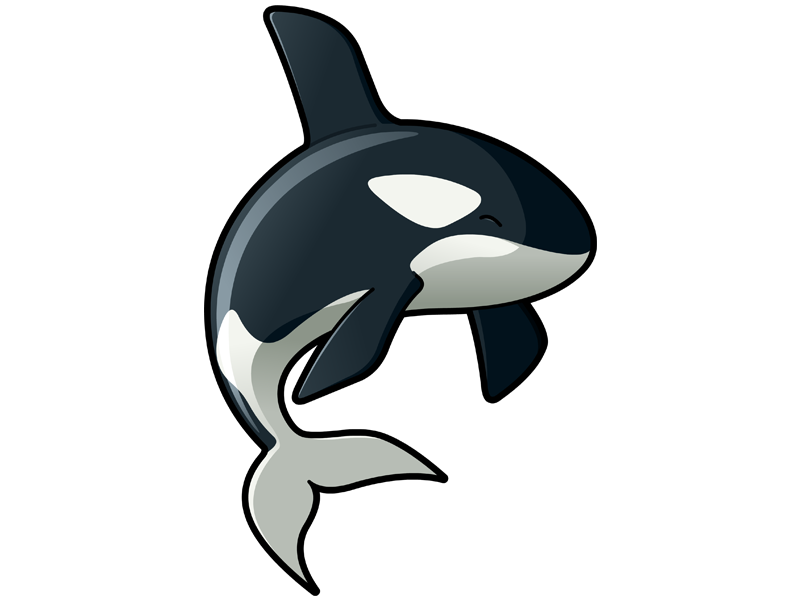 800x600 Killer Whale