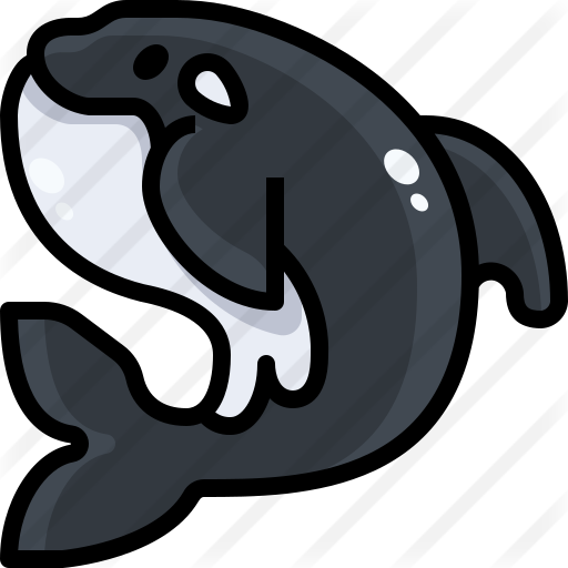 512x512 Killer Whale