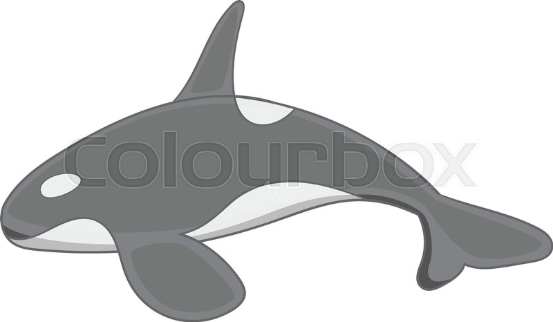 800x466 Killer Whale Icon In Monochrome Style Stock Vector Colourbox