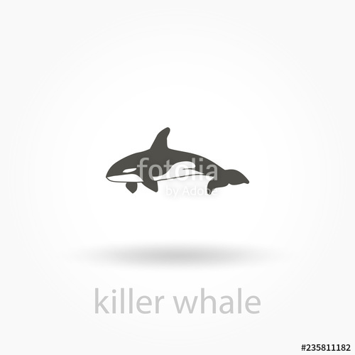 500x500 Orca Killer Whale Icon Stock Image And Royalty Free Vector
