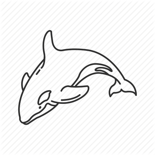 512x512 Delphinidae Family, Free Willy, Killer Whale, Large Marine Mammal