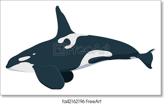 560x355 Free Art Print Of Killwhale, Orca Whale Icon Isolated On White